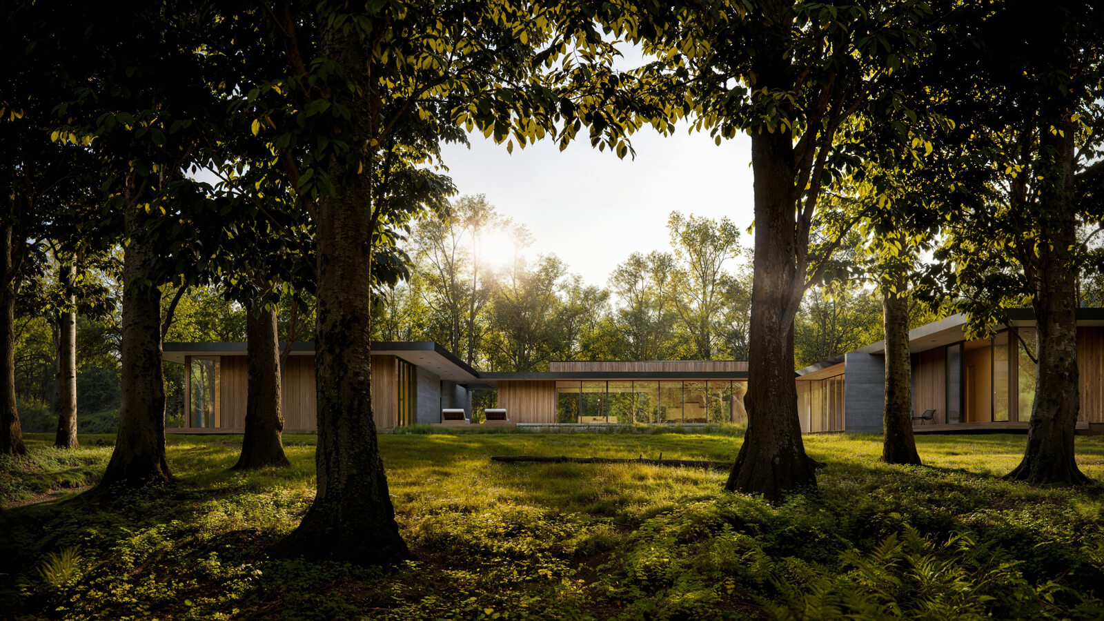 Modern house in a forest with sunlight filtering through the trees.