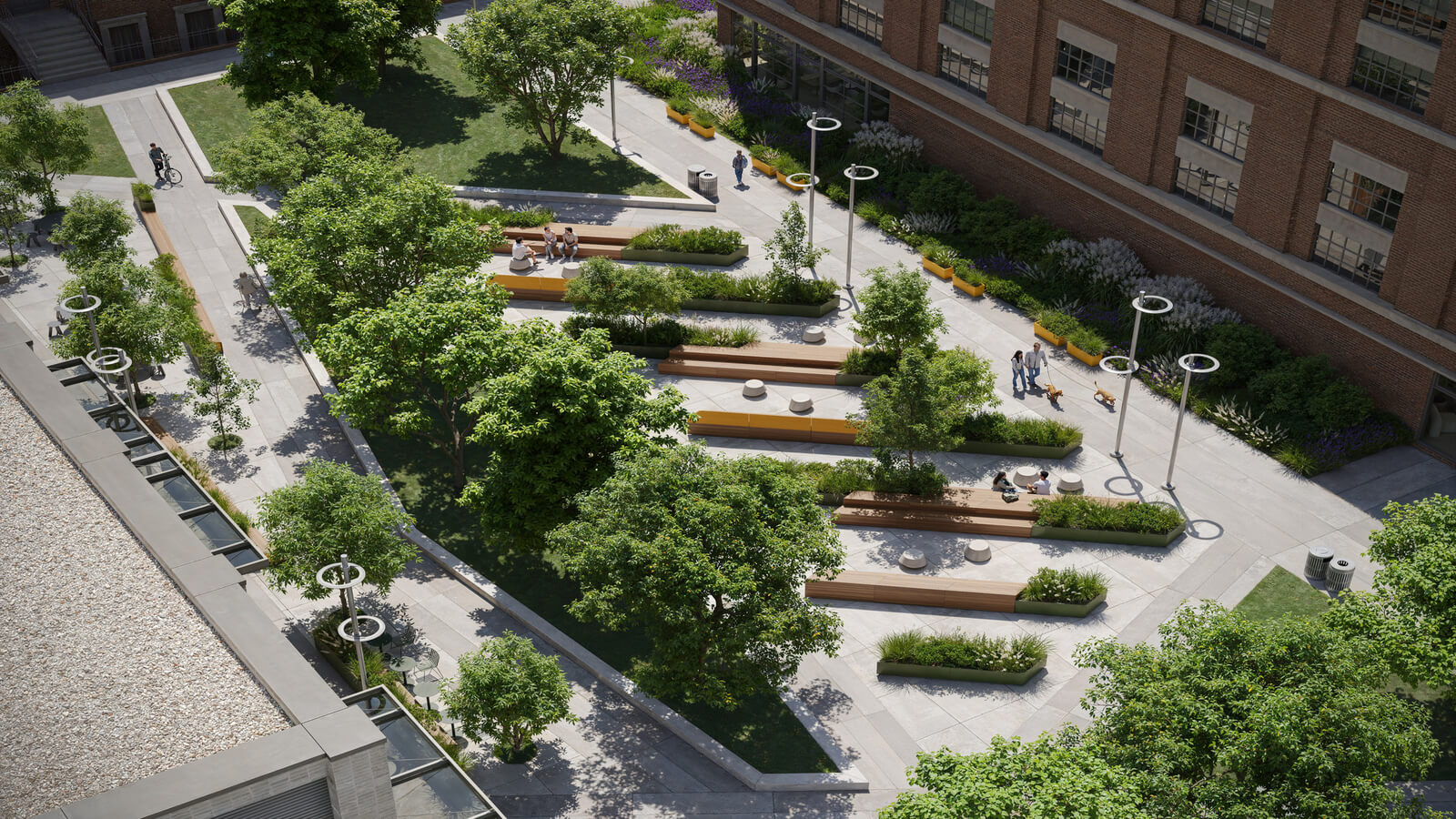 Case Study: Expansion